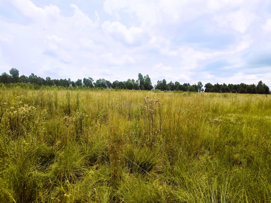 0 Bedroom Property for Sale in Valtaki Gauteng