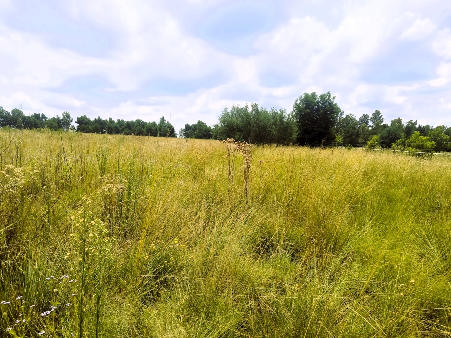 0 Bedroom Property for Sale in Valtaki Gauteng