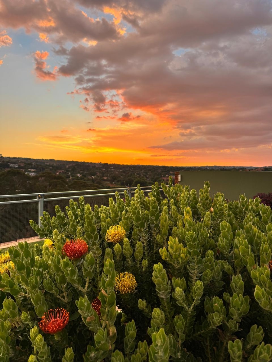 3 Bedroom Property for Sale in Helderkruin Gauteng