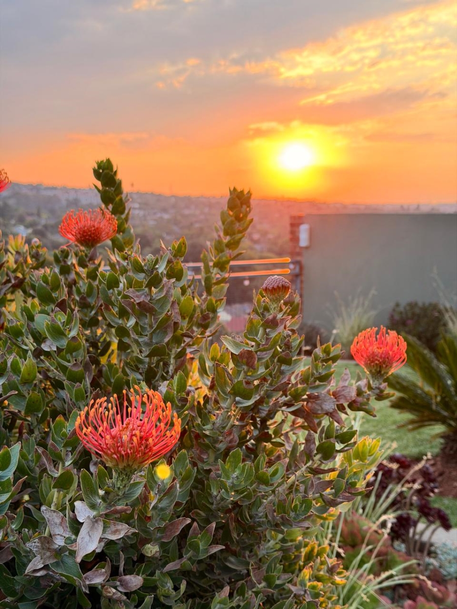 3 Bedroom Property for Sale in Helderkruin Gauteng