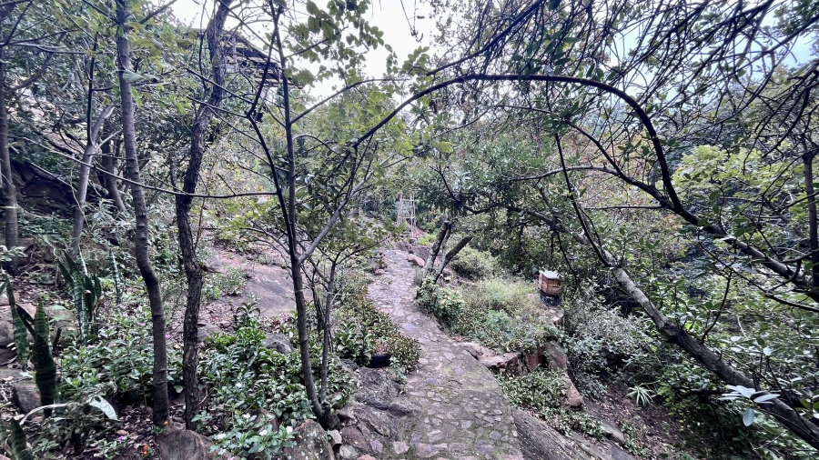 8 Bedroom Property for Sale in Kilner Park Gauteng