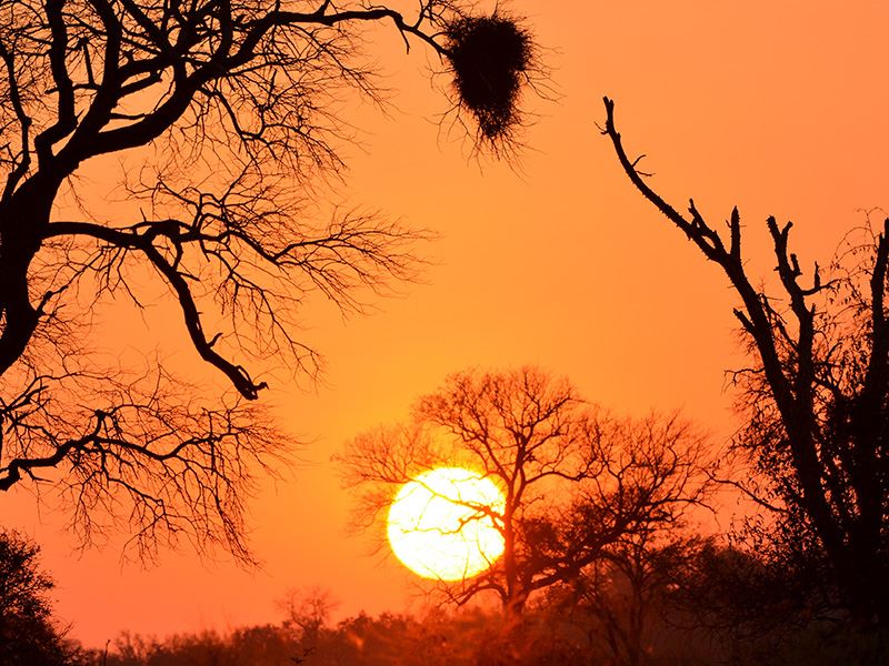 0 Bedroom Property for Sale in Roodepark Eco Estate Gauteng