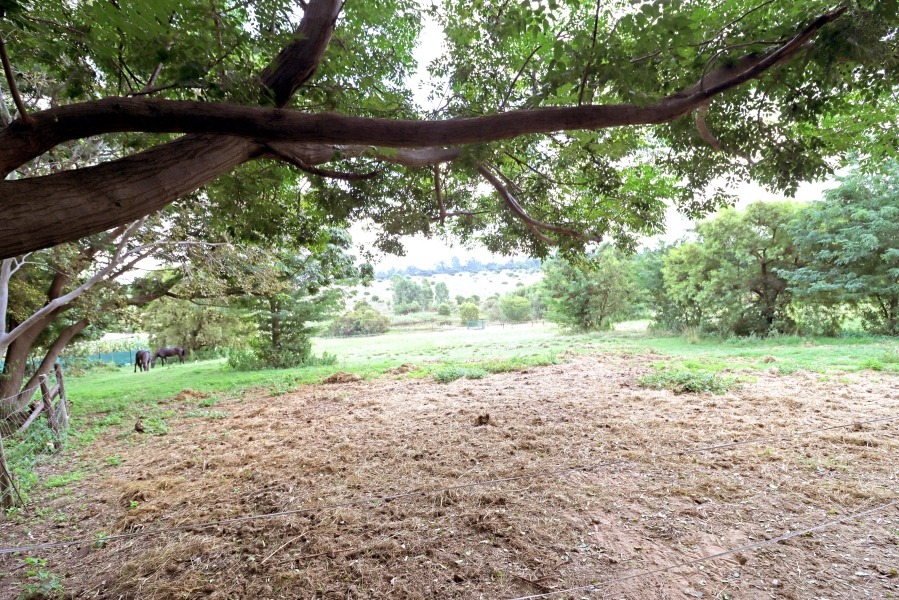 3 Bedroom Property for Sale in Sun Valley Gauteng