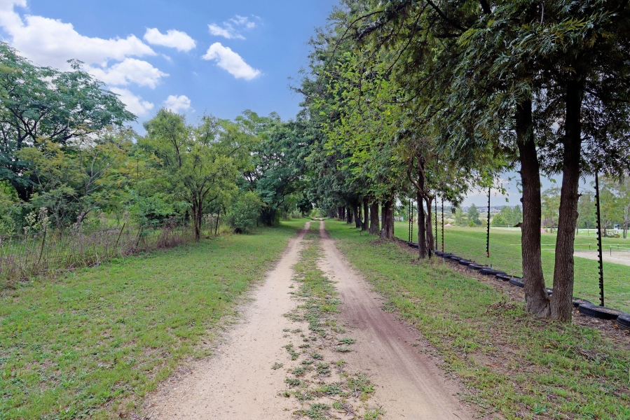 3 Bedroom Property for Sale in Sun Valley Gauteng