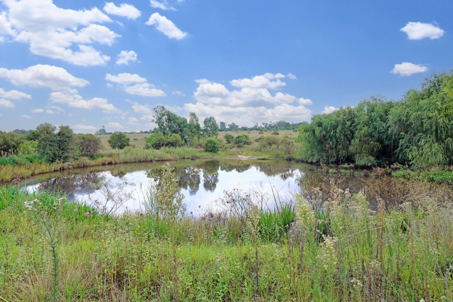 3 Bedroom Property for Sale in Sun Valley Gauteng