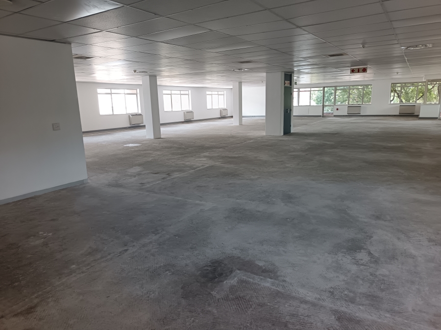To Let commercial Property for Rent in Bruma Gauteng
