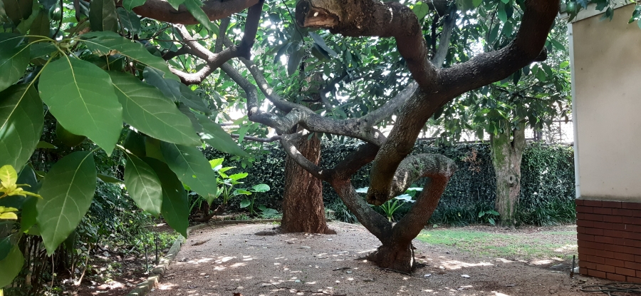 2 Bedroom Property for Sale in Groenkloof Gauteng