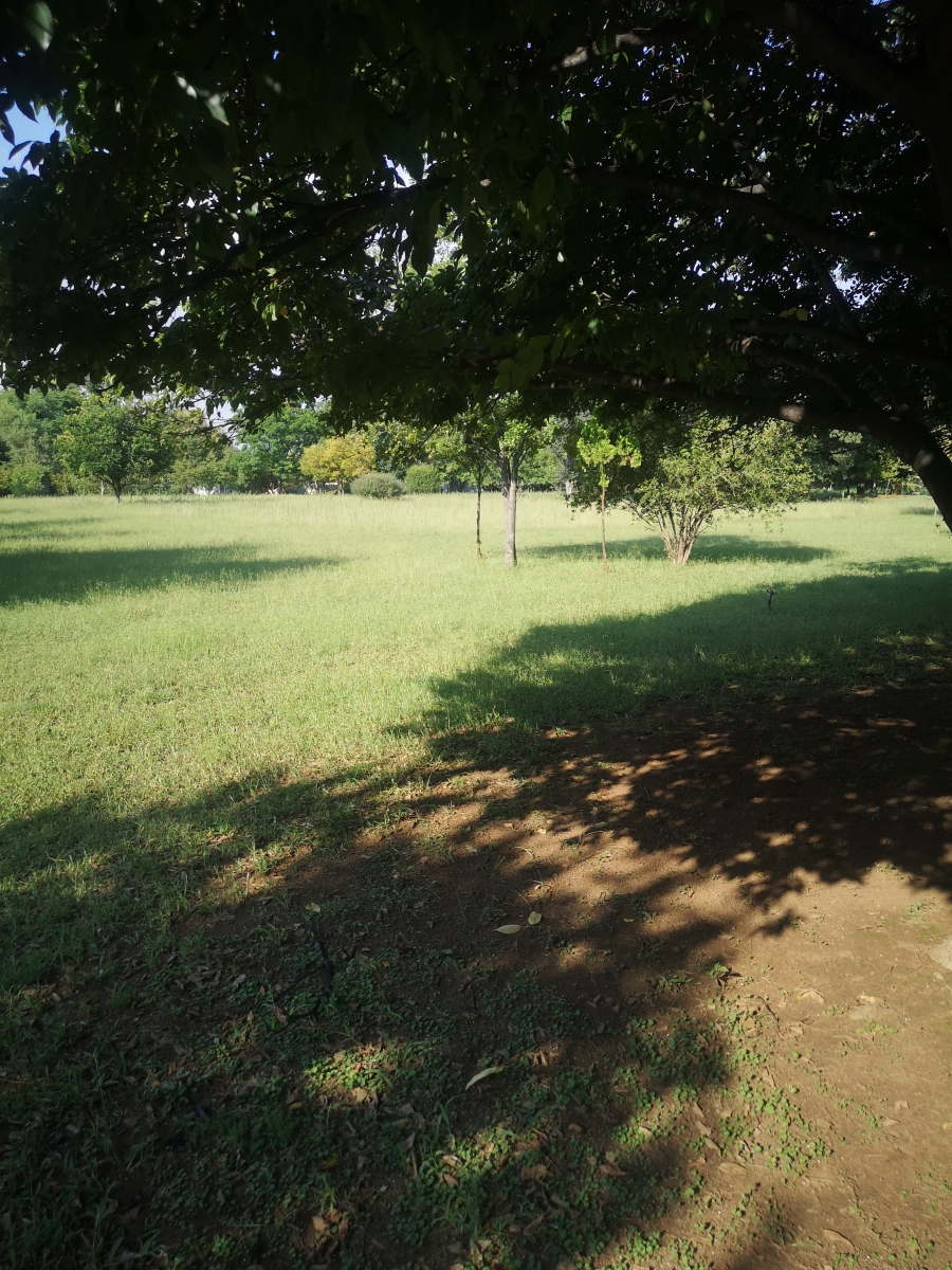 4 Bedroom Property for Sale in Glen Donald A H Gauteng