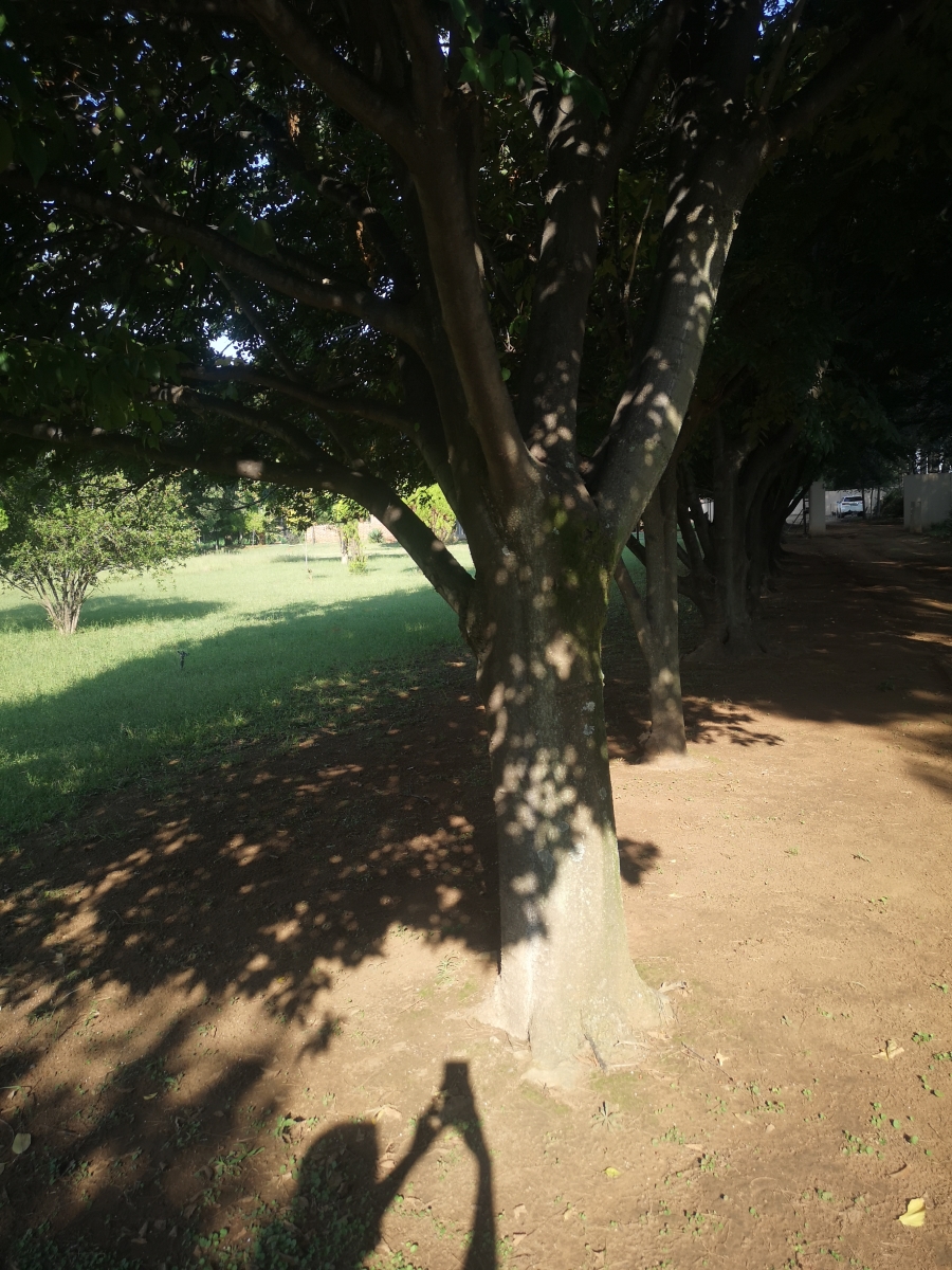 4 Bedroom Property for Sale in Glen Donald A H Gauteng