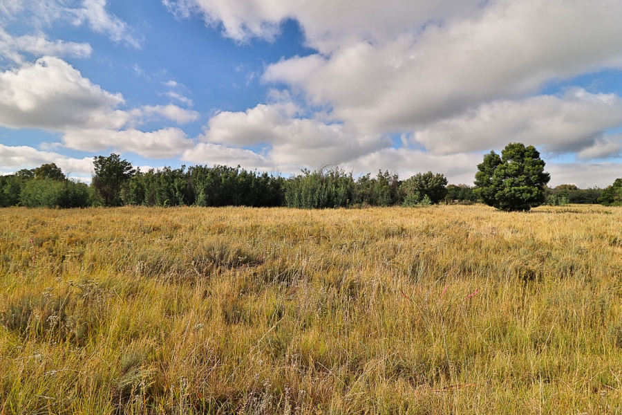 5 Bedroom Property for Sale in Hartzenbergfontein Gauteng