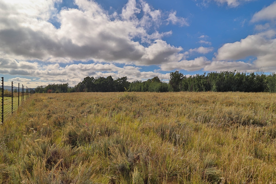 5 Bedroom Property for Sale in Hartzenbergfontein Gauteng