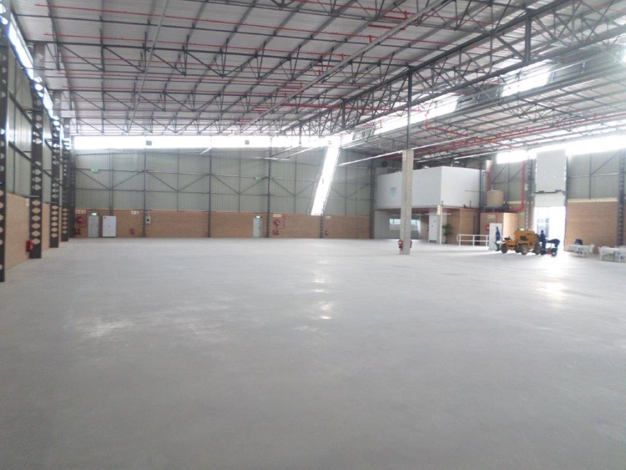 To Let commercial Property for Rent in Airport Park Gauteng