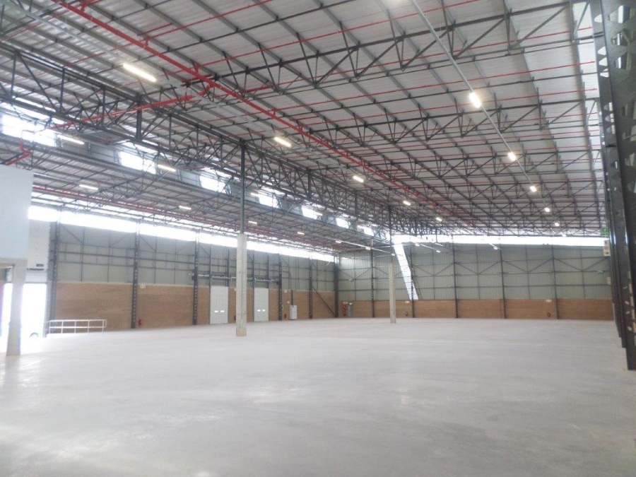 To Let commercial Property for Rent in Airport Park Gauteng