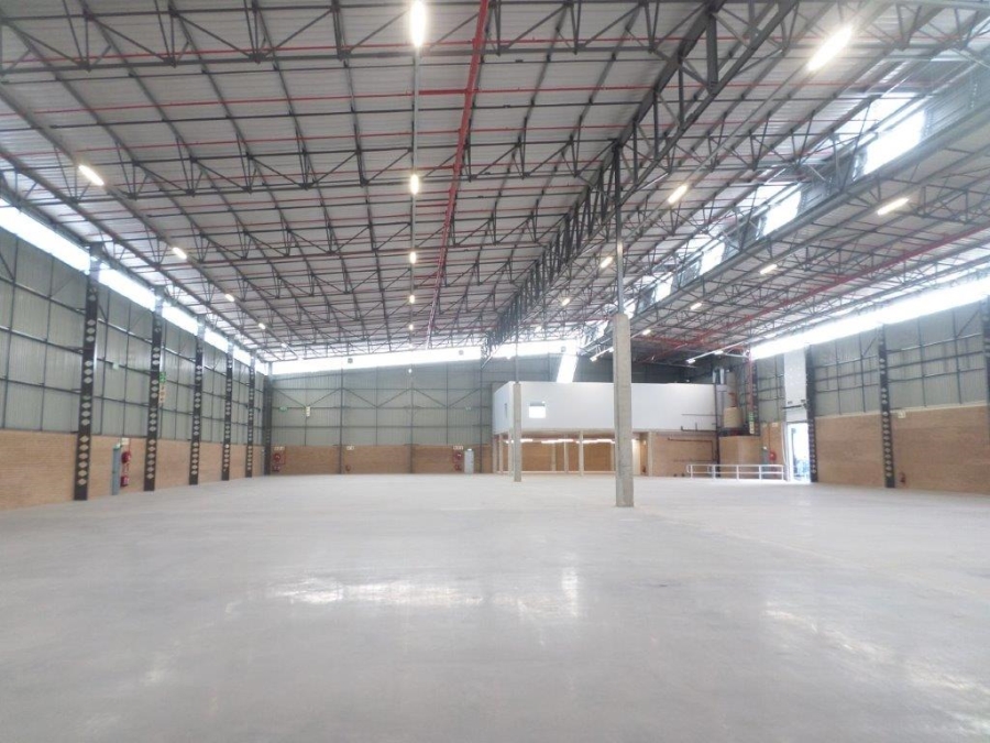 To Let commercial Property for Rent in Airport Park Gauteng