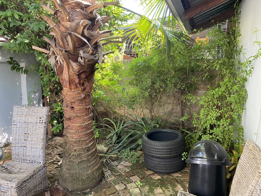 To Let 1 Bedroom Property for Rent in Elardus Park Gauteng