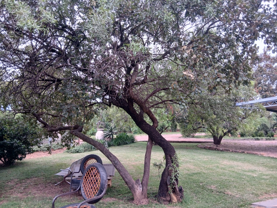 16 Bedroom Property for Sale in Elandsfontein AH Gauteng