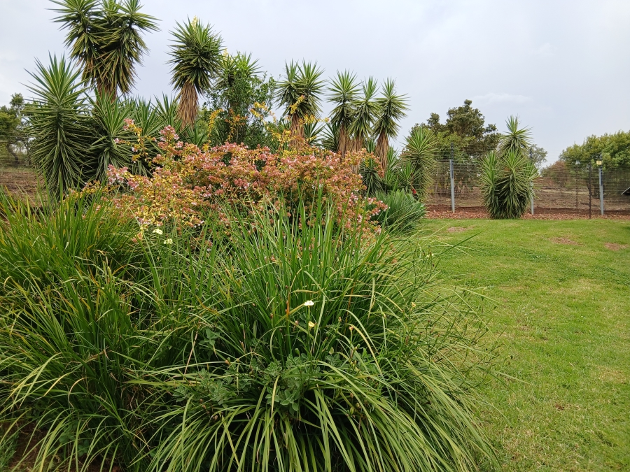 16 Bedroom Property for Sale in Elandsfontein AH Gauteng