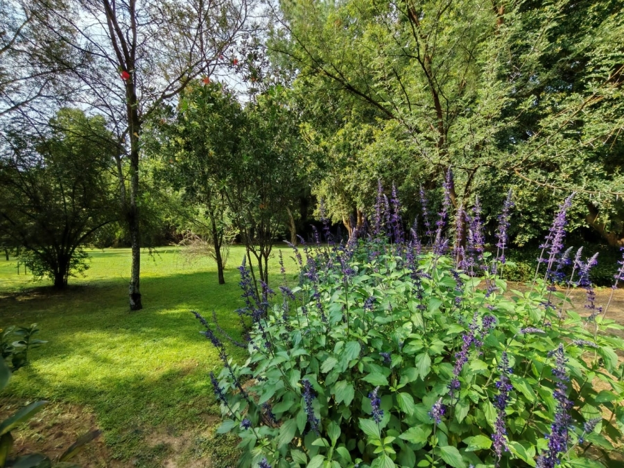 3 Bedroom Property for Sale in Three Rivers Proper Gauteng