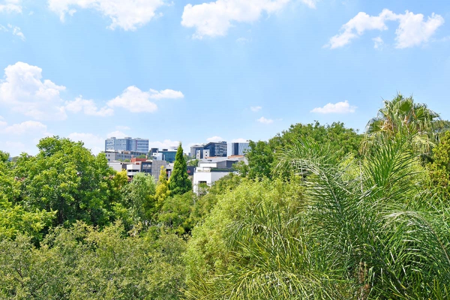 To Let 3 Bedroom Property for Rent in Sandhurst Gauteng