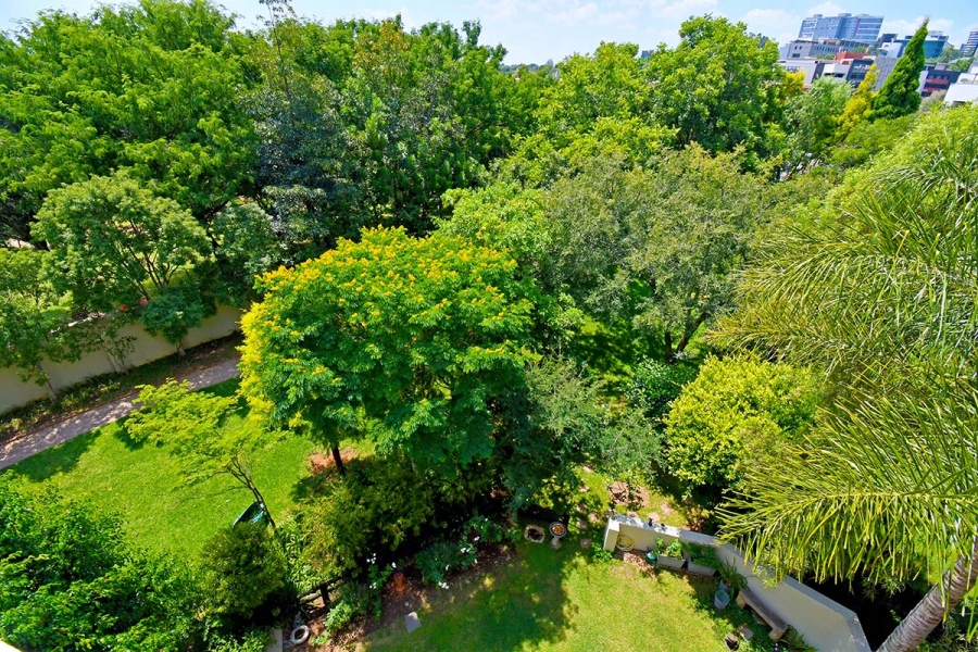 To Let 3 Bedroom Property for Rent in Sandhurst Gauteng