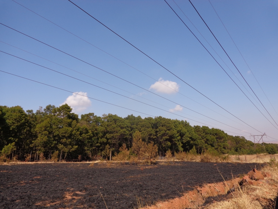 0 Bedroom Property for Sale in Rietfontein SH Gauteng