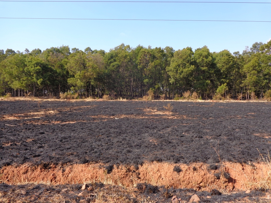 0 Bedroom Property for Sale in Rietfontein SH Gauteng