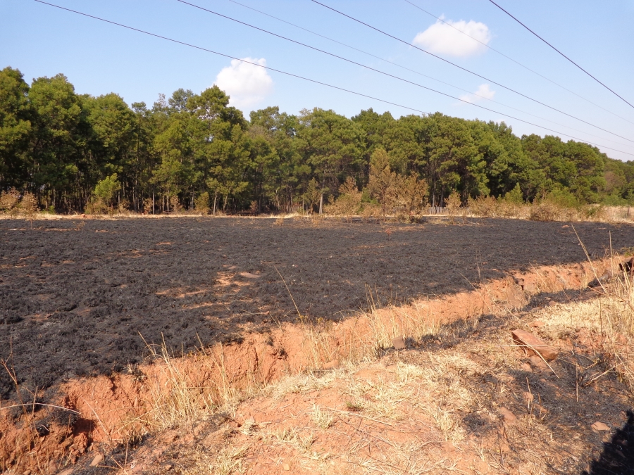 0 Bedroom Property for Sale in Rietfontein SH Gauteng