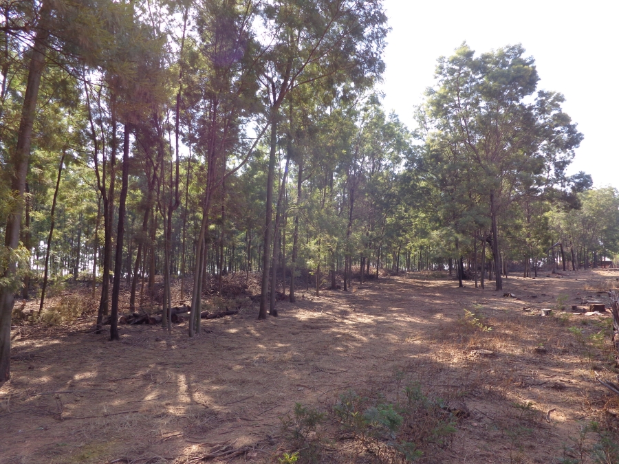 0 Bedroom Property for Sale in Rietfontein SH Gauteng