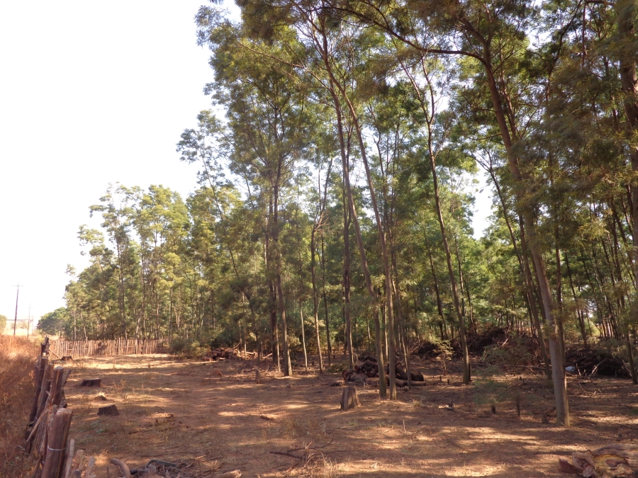 0 Bedroom Property for Sale in Rietfontein SH Gauteng