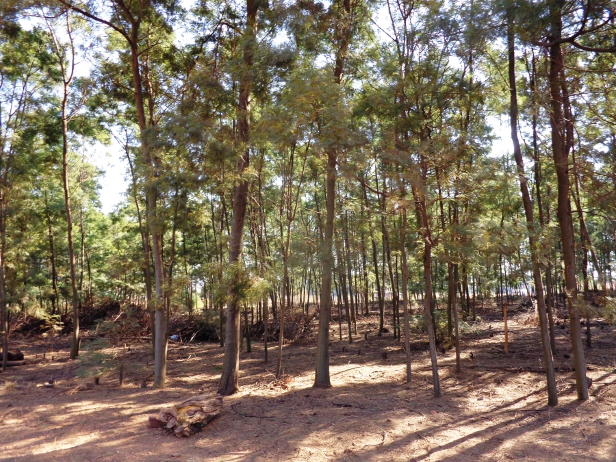 0 Bedroom Property for Sale in Rietfontein SH Gauteng