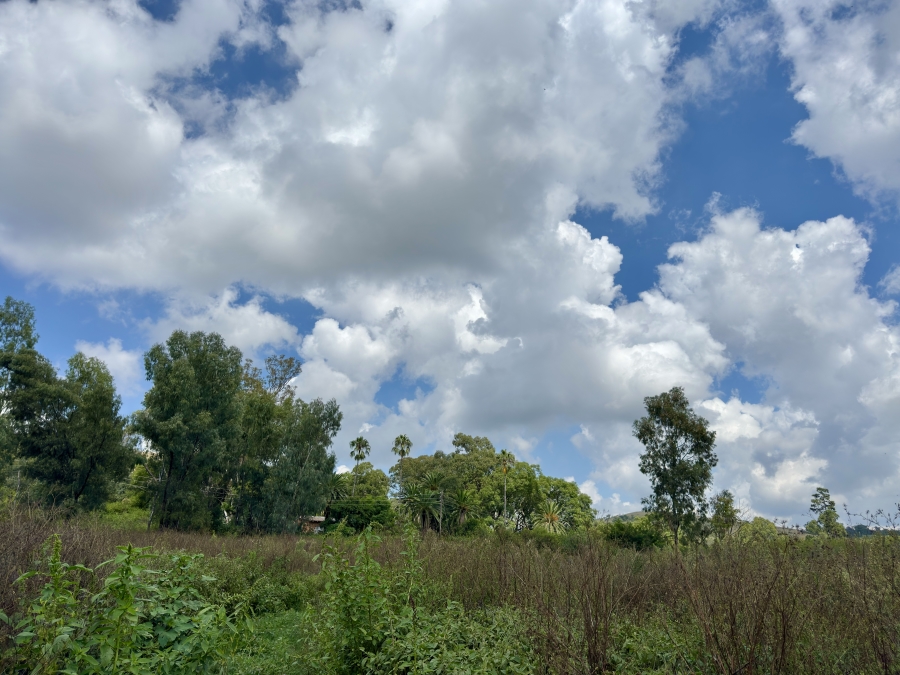 3 Bedroom Property for Sale in Pretoria North Gauteng