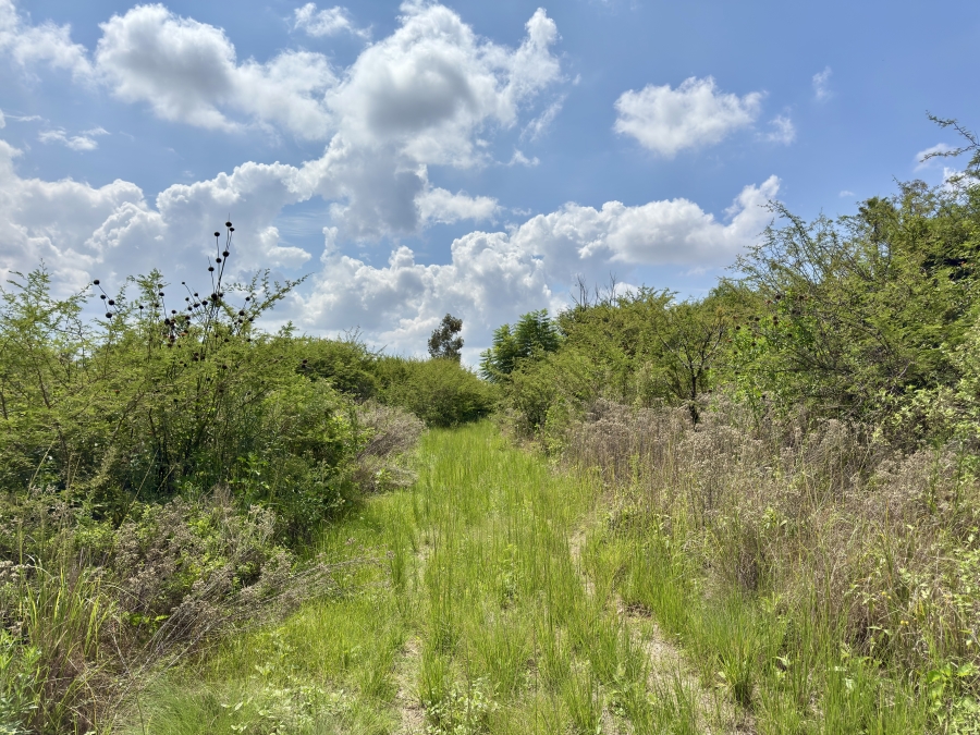 3 Bedroom Property for Sale in Pretoria North Gauteng