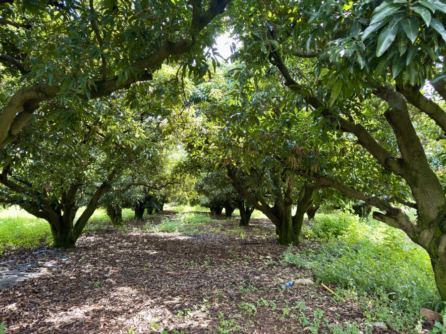 3 Bedroom Property for Sale in Pretoria North Gauteng