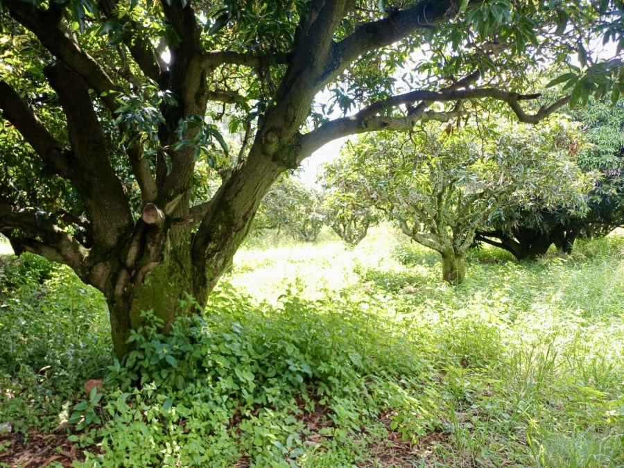 3 Bedroom Property for Sale in Pretoria North Gauteng