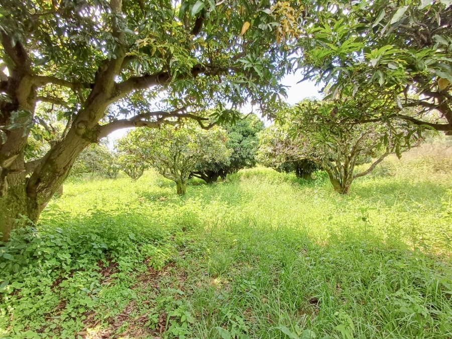 3 Bedroom Property for Sale in Pretoria North Gauteng