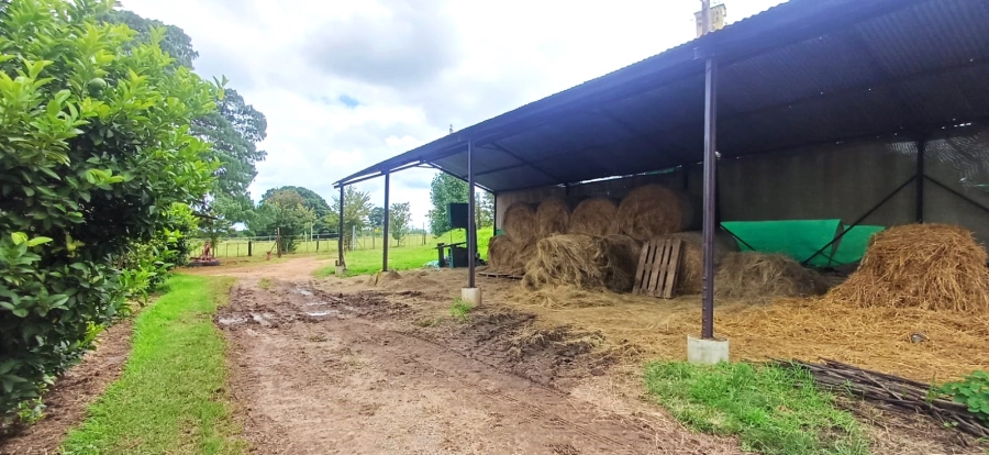 5 Bedroom Property for Sale in Bashewa A H Gauteng