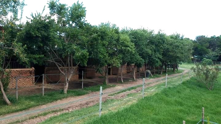 5 Bedroom Property for Sale in Bashewa A H Gauteng