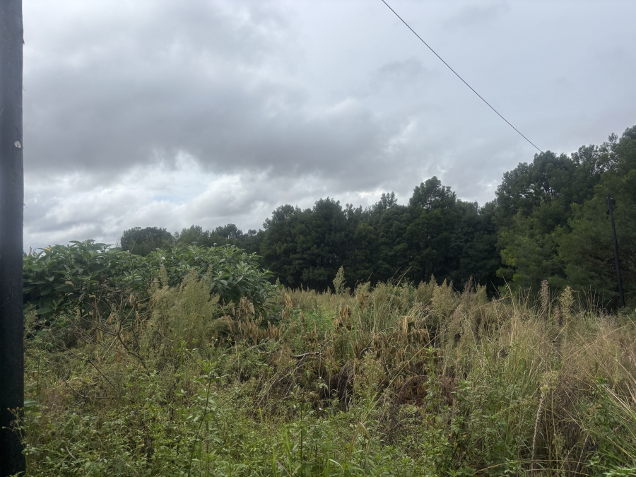 0 Bedroom Property for Sale in Bronkhorstbaai Gauteng