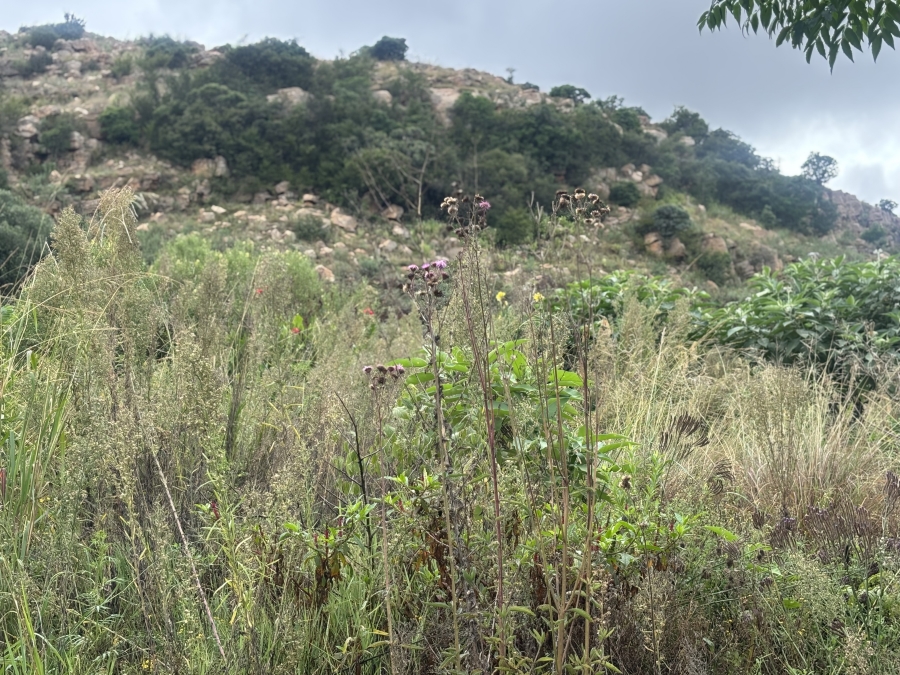 0 Bedroom Property for Sale in Bronkhorstbaai Gauteng