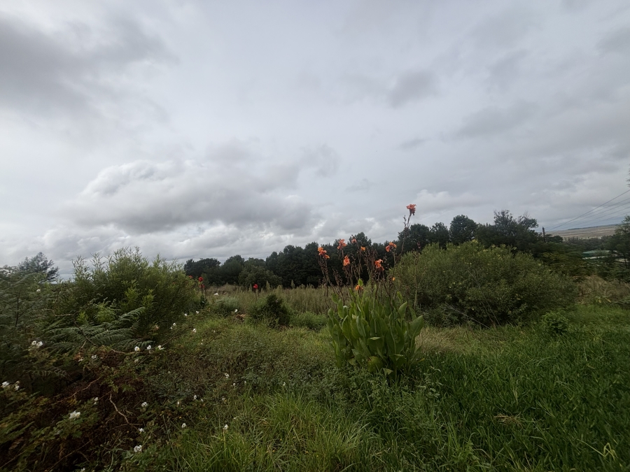 0 Bedroom Property for Sale in Bronkhorstbaai Gauteng