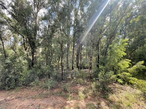 0 Bedroom Property for Sale in Walker Fruit Farms Gauteng