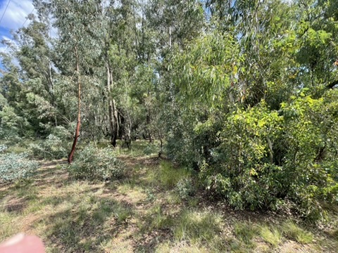 0 Bedroom Property for Sale in Walker Fruit Farms Gauteng