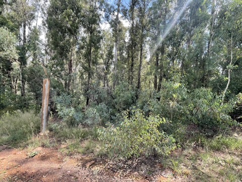 0 Bedroom Property for Sale in Walker Fruit Farms Gauteng