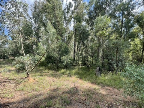 0 Bedroom Property for Sale in Walker Fruit Farms Gauteng