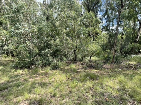 0 Bedroom Property for Sale in Walker Fruit Farms Gauteng