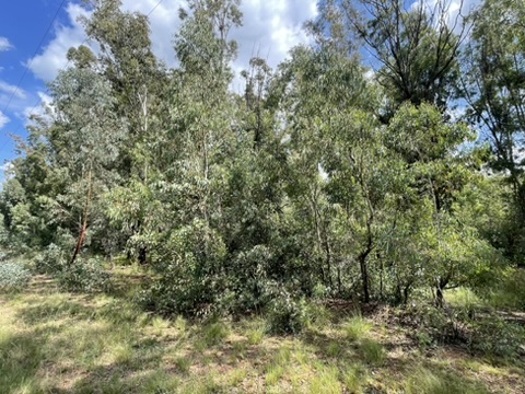 0 Bedroom Property for Sale in Walker Fruit Farms Gauteng