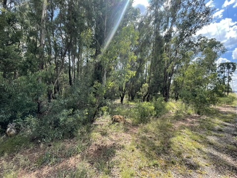 0 Bedroom Property for Sale in Walker Fruit Farms Gauteng