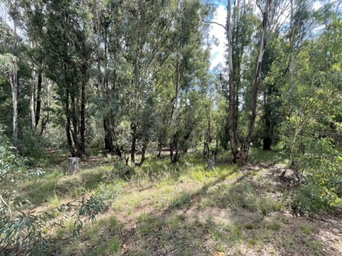 0 Bedroom Property for Sale in Walker Fruit Farms Gauteng