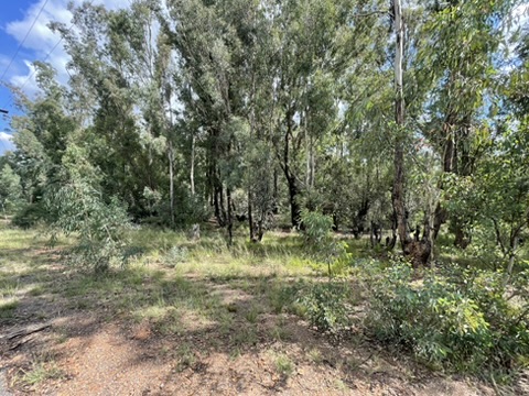 0 Bedroom Property for Sale in Walker Fruit Farms Gauteng