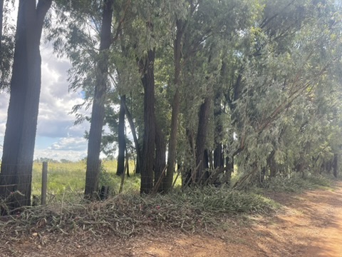 0 Bedroom Property for Sale in De Deur Gauteng